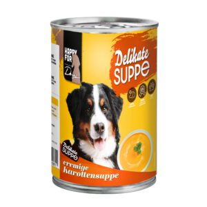 Delekate Suppe Karotte.JPEG