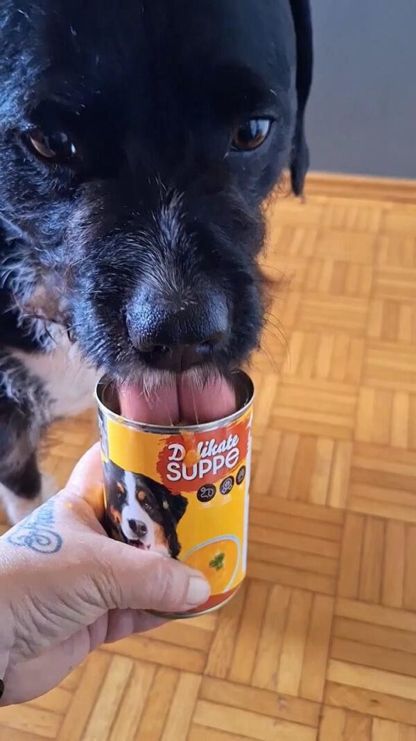 Suppen-Schlecker.jpg