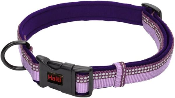 Halti-XS-lila.jpg