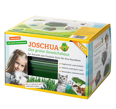 Joschua Gewachshaus.png