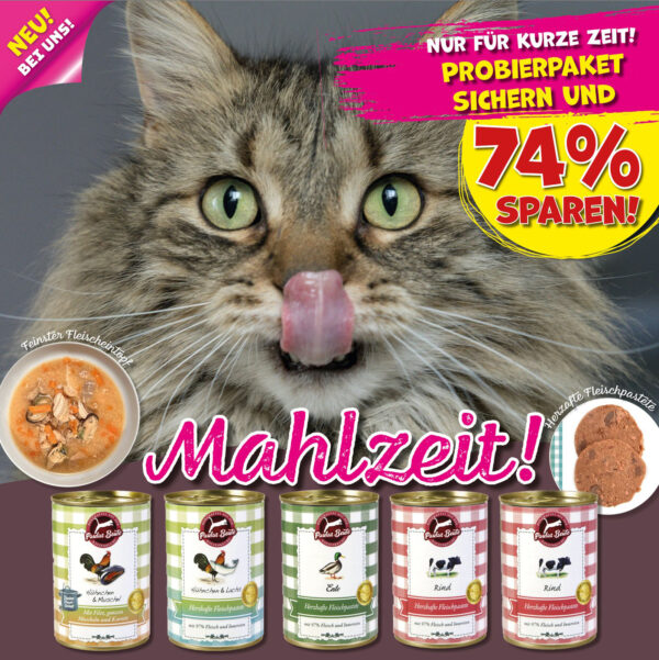 Paulas Beute Probierpaket 30 Dosen x 380g400g  in 4 verschiedene Sorten.jpg